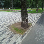 Паркет 250х83х60 ГОСТ 17608-91 Серый